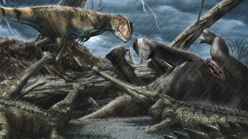 Самое опасное место в истории: палеонтологи о Сахаре 100 млн лет назад