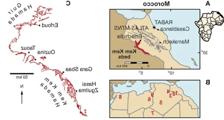 Самое опасное место в истории: палеонтологи о Сахаре 100 млн лет назад