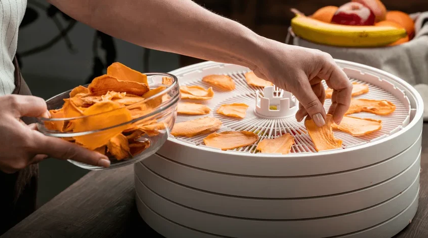 Как выбрать сушилку для овощей и фруктов: гид по заготовке урожая на зиму