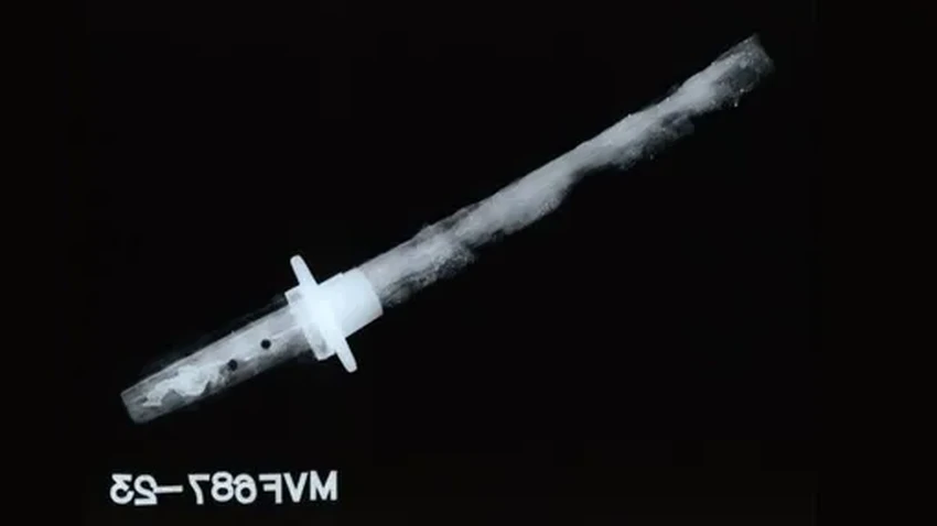 Тайна берлинских подвалов: как меч самурая XVII века оказался в Германии