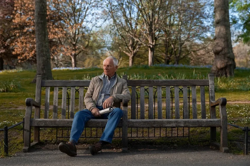 Как деревья защищают сердце: кардиолог о неожиданной пользе зеленых насаждений