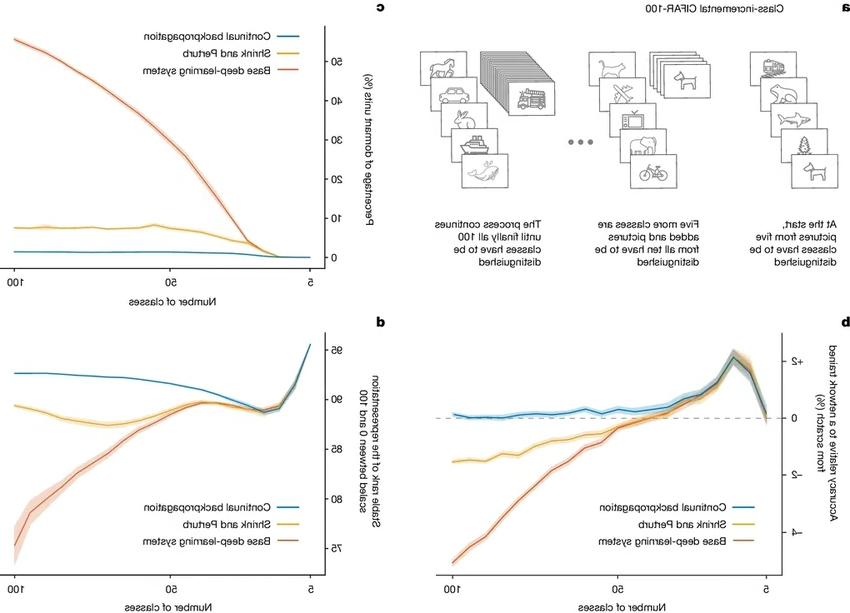 Нейросети учатся забывать: прорыв для непрерывного обучения ИИ