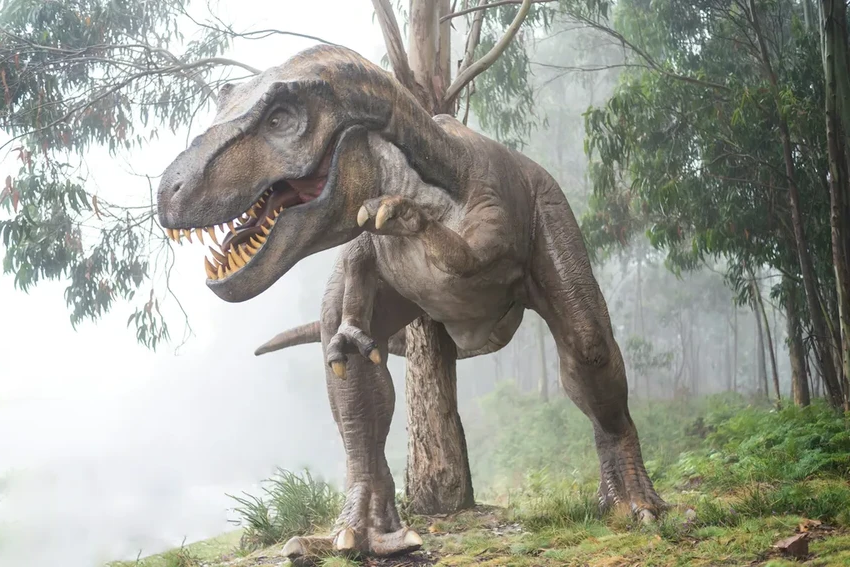 Одни и те же следы динозавров обнаружены по разные стороны Атлантики