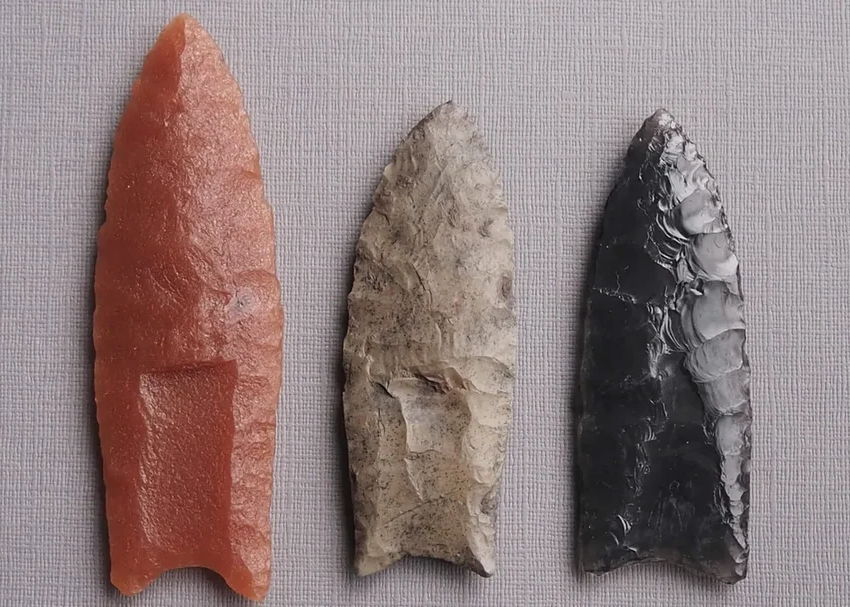 Как охотники каменного века убивали мамонтов: гениальная тактика