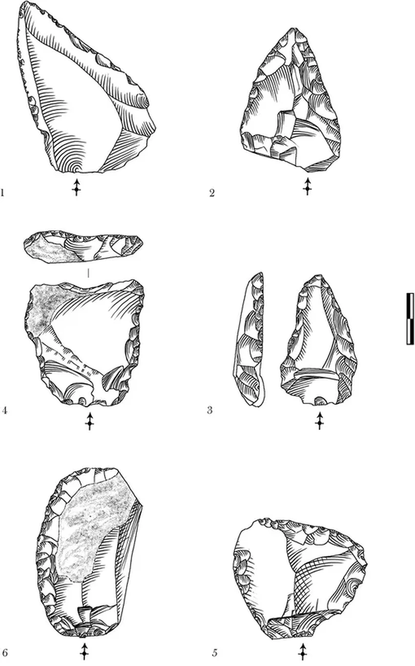 Умелые охотники неандертальцы: почему они исчезли с появлением людей