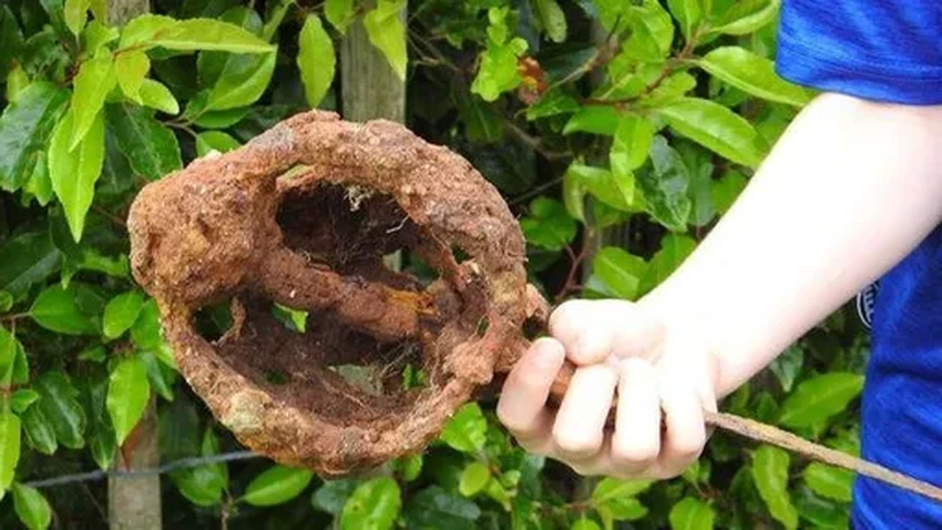 Мальчик с металлоискателем нашёл старинный меч XVIII века на первой прогулке