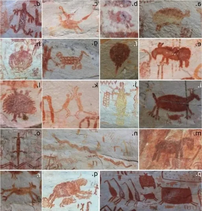 Древние рисунки Амазонии: что они рассказали о диете и мифах первых людей