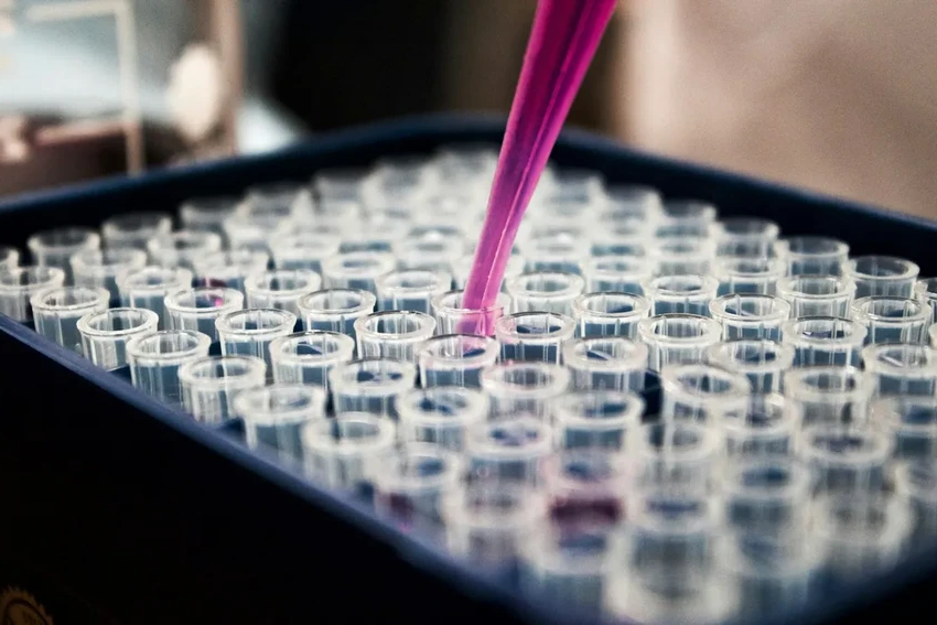 Вспышка оспы обезьян: ВОЗ объявляет международную чрезвычайную ситуацию