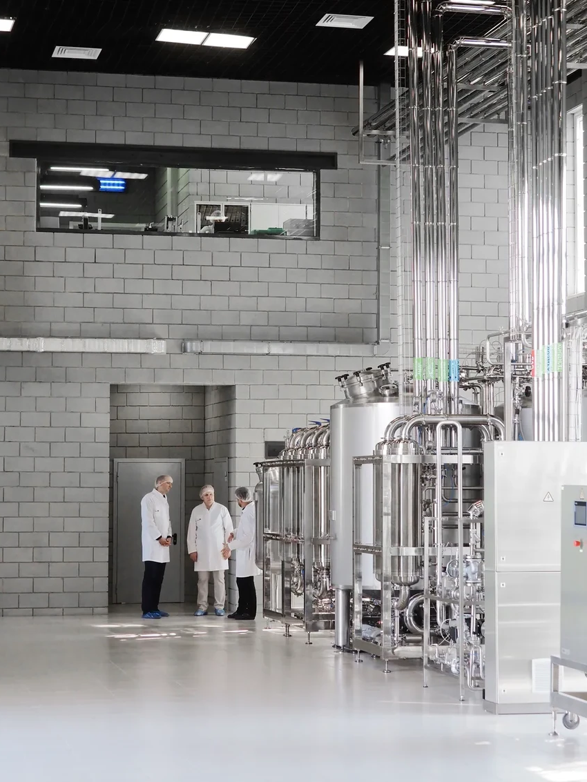 Шоколад и мороженое без сахара: как сладкие белки меняют правила игры