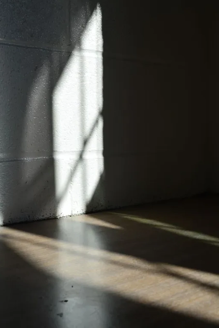 Перевернутый дом на стене: как занавеска создала оптическое чудо