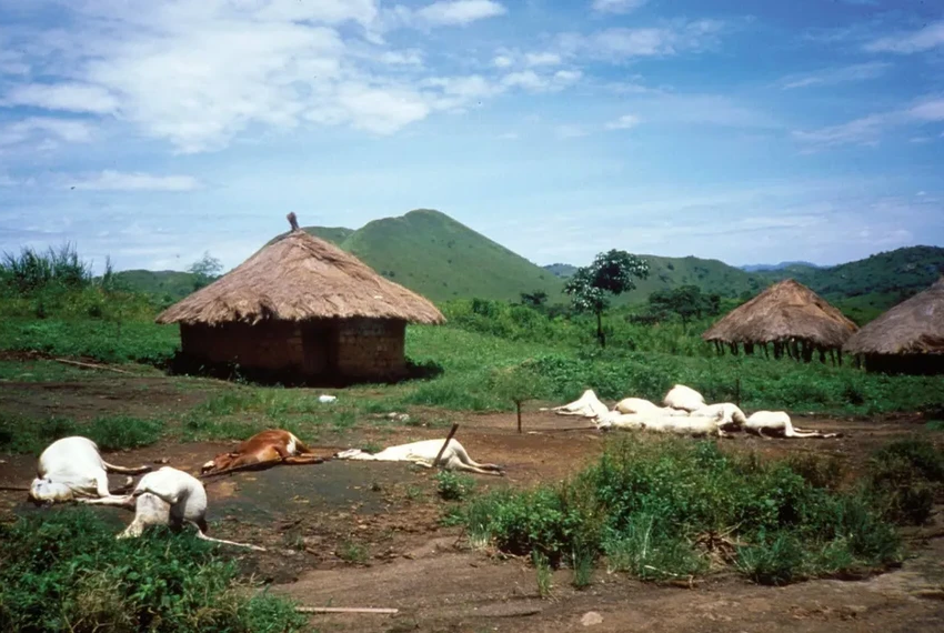 Озеро Ниос: как тихий водоем за одну ночь стал причиной гибели тысяч