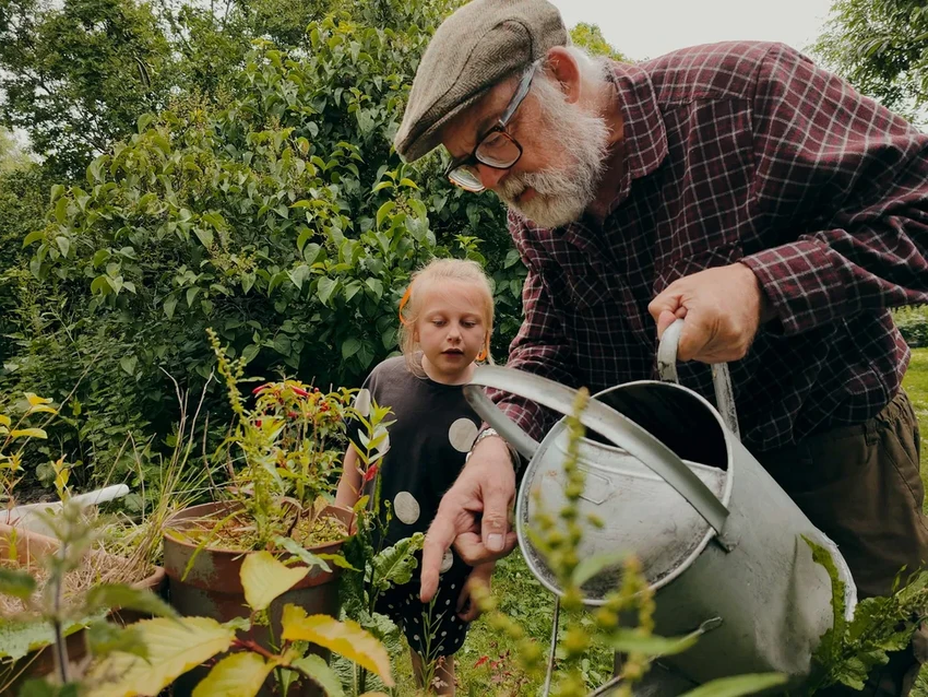 Что посадить в огороде осенью: 6 культур для раннего урожая в новом сезоне