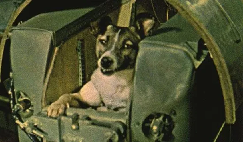 Забытые миссии СССР: что летало в космос между Спутником и Гагариным?