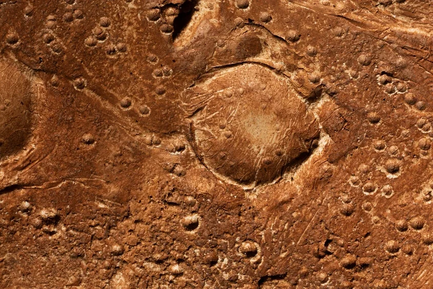 Чем метеор отличается от кометы и куда исчезают кратеры на Земле