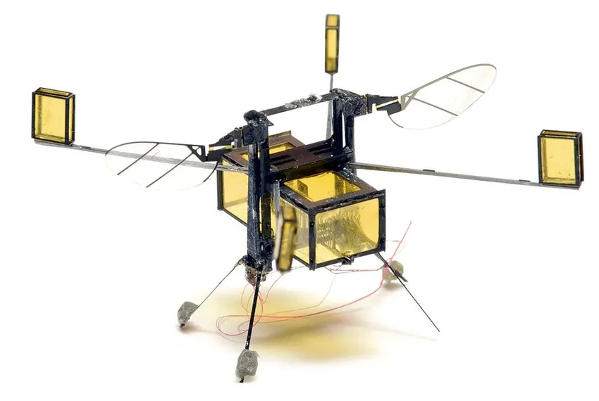 Роботы-опылители: спасут ли технологии планету, если пчелы исчезнут?