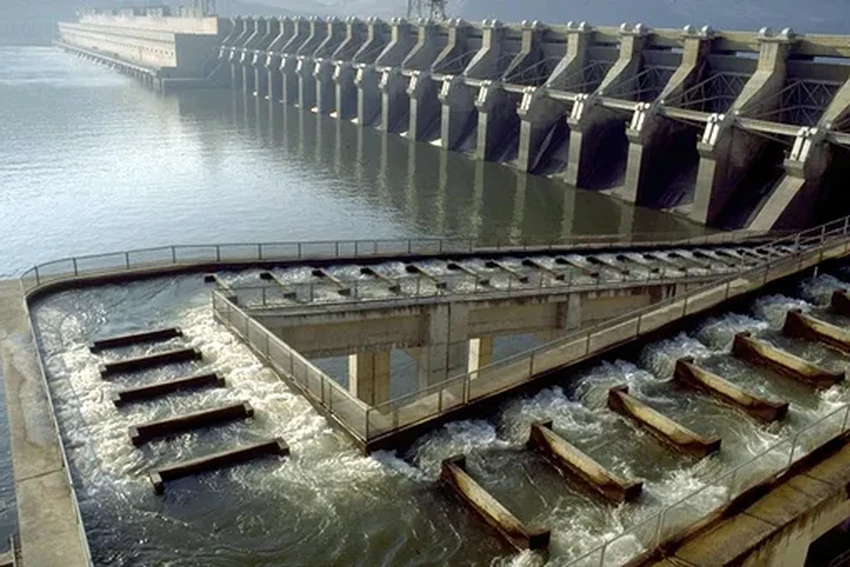 Спасение рыбы от турбин ГЭС: как новые технологии позволяют сохранить осетров и лосося