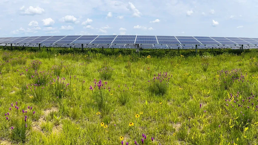 Солнечные фермы нового поколения: энергия для полей и домов для пчел
