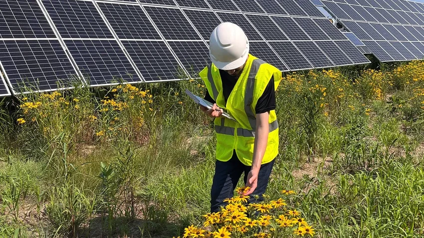 Солнечные фермы нового поколения: энергия для полей и домов для пчел