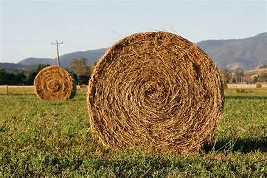 Солнечные фермы нового поколения: энергия для полей и домов для пчел