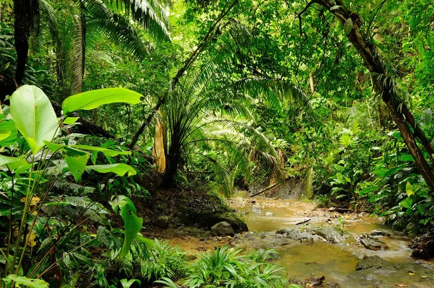 Панамериканское шоссе: что скрывает самая длинная дорога мира длиной 30 000 км