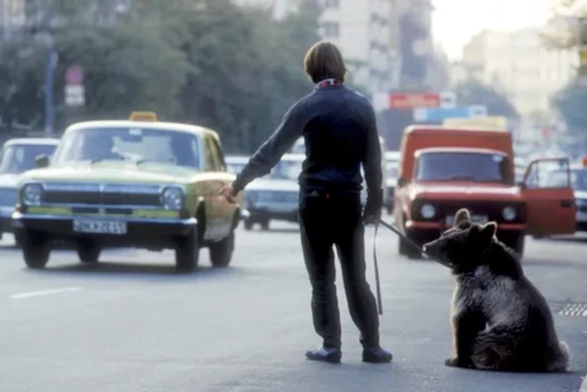 Забытый язык таксистов СССР: что означали «корча», «шляповоз» и «аэродромщик»