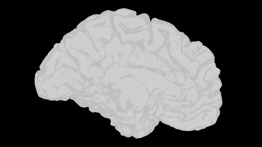 Новое исследование: как опоясывающий лишай влияет на память и мышление