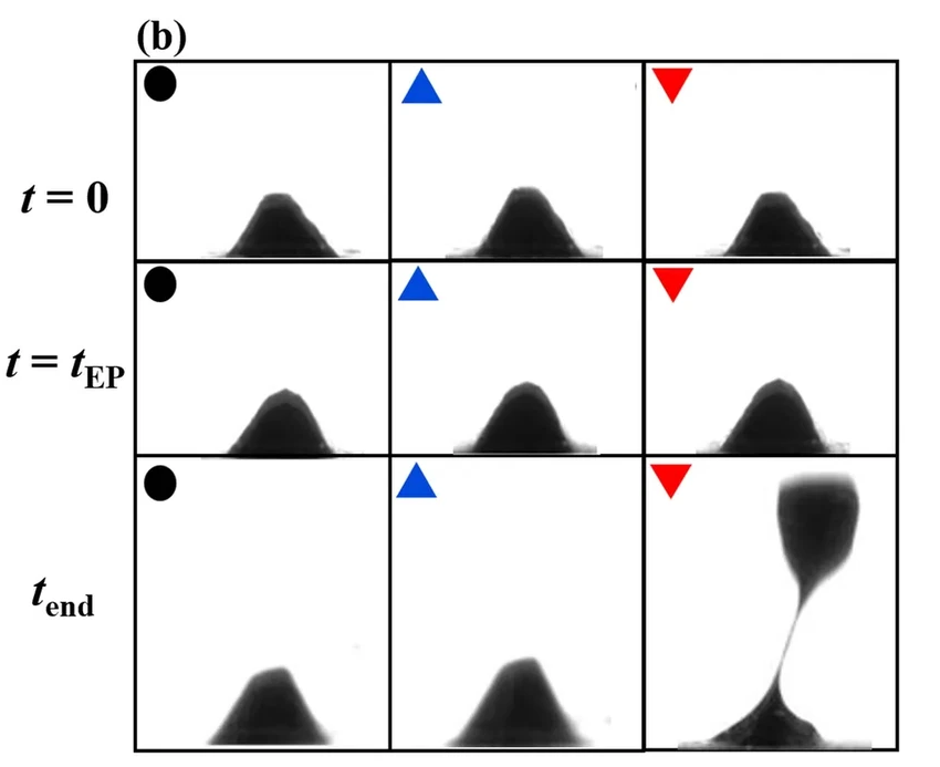 Как майонез помогает учёным изучать термоядерный синтез