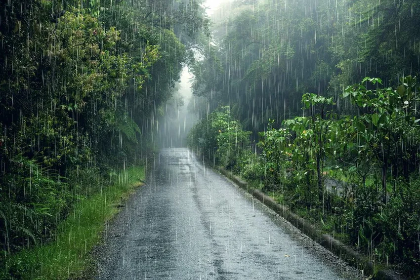 Как называются на самом деле знакомые вещи? От грифонажа до петрикора