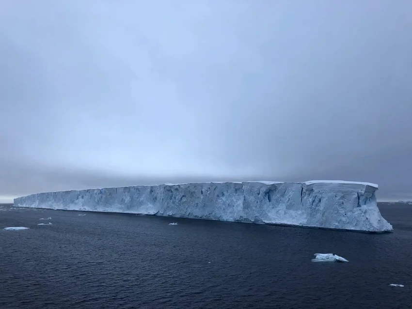 Гигантский айсберг А23а попал в водоворот. Что предрекают ему учёные?