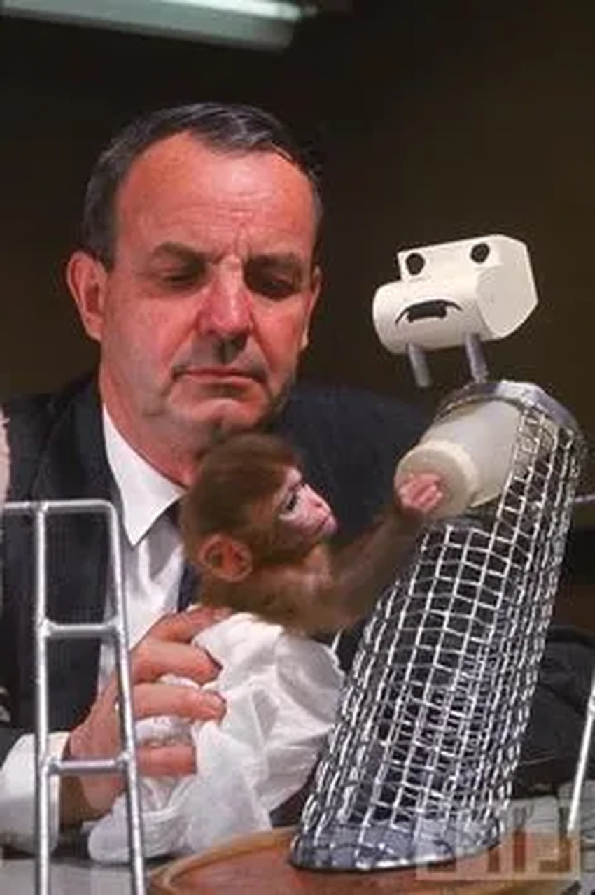 Гарри Харлоу: как жестокие опыты с обезьянами доказали важность любви