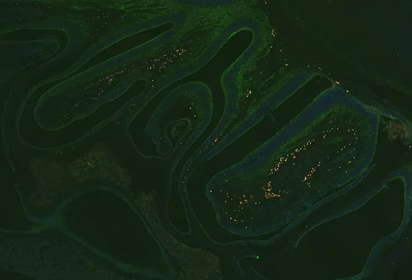 Секрет эффективной вакцины в нос: как работают назальные спреи