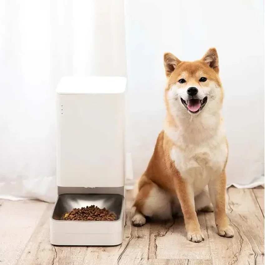 Умные гаджеты для питомцев: 5 устройств для ухода и развлечений