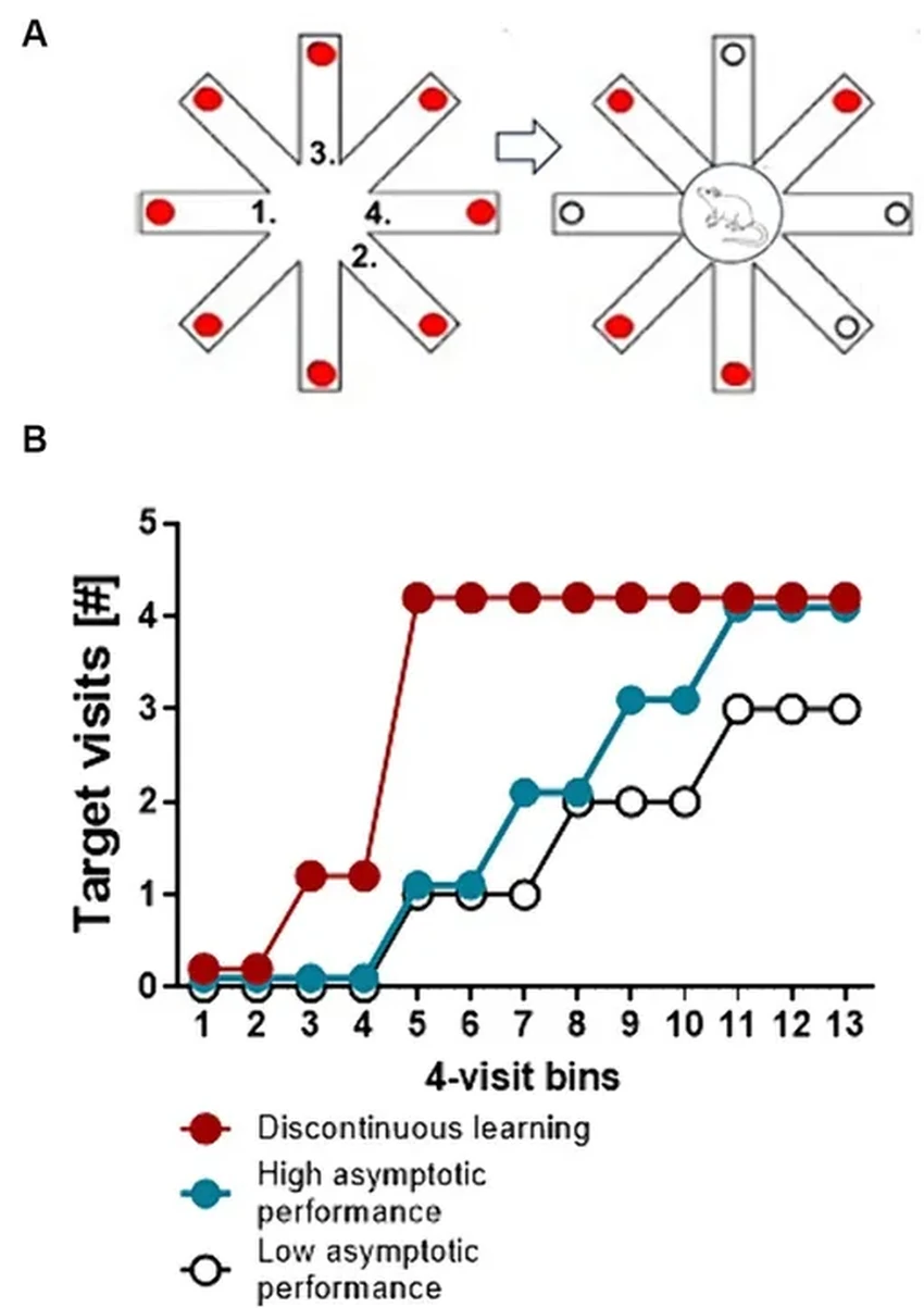 Как поймать момент озарения? Новый метод изучения сознания через инсайты