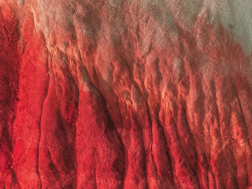 Найдена древняя рыба с лёгкими: новый вид из Зимбабве возрастом 210 млн лет