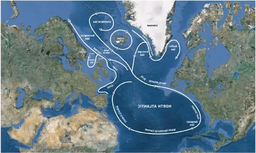 Гольфстрим замедляется: чем грозит Европе ослабление океанического течения?