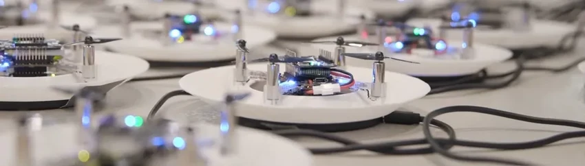 Как учёные учат дроны летать роем, наблюдая за птицами и пчёлами