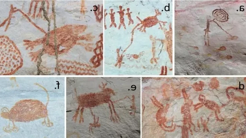 Древние рисунки Амазонки: какие животные жили рядом с людьми 12 500 лет назад