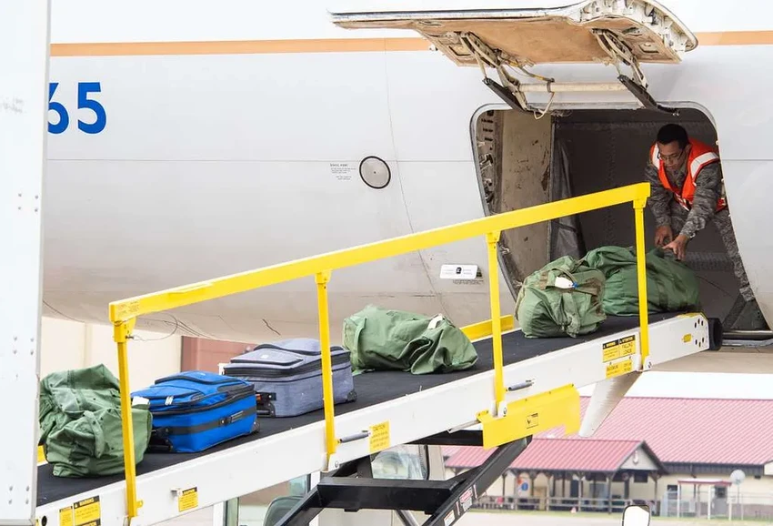 Питомец в самолете: какие условия ждут животное в багажном отсеке