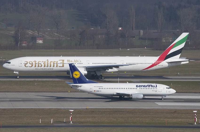 Питомец в самолете: какие условия ждут животное в багажном отсеке