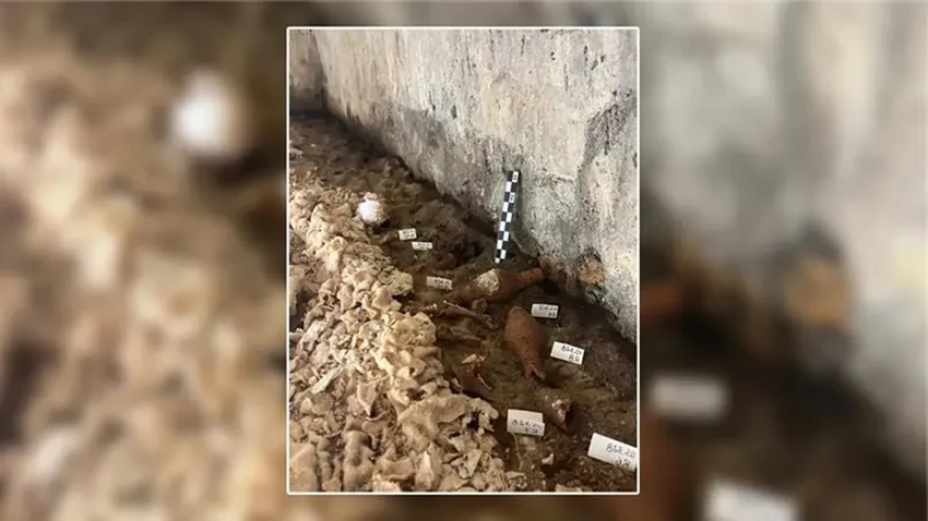 В гробнице Цербера обнаружена мумия возрастом 2000 лет