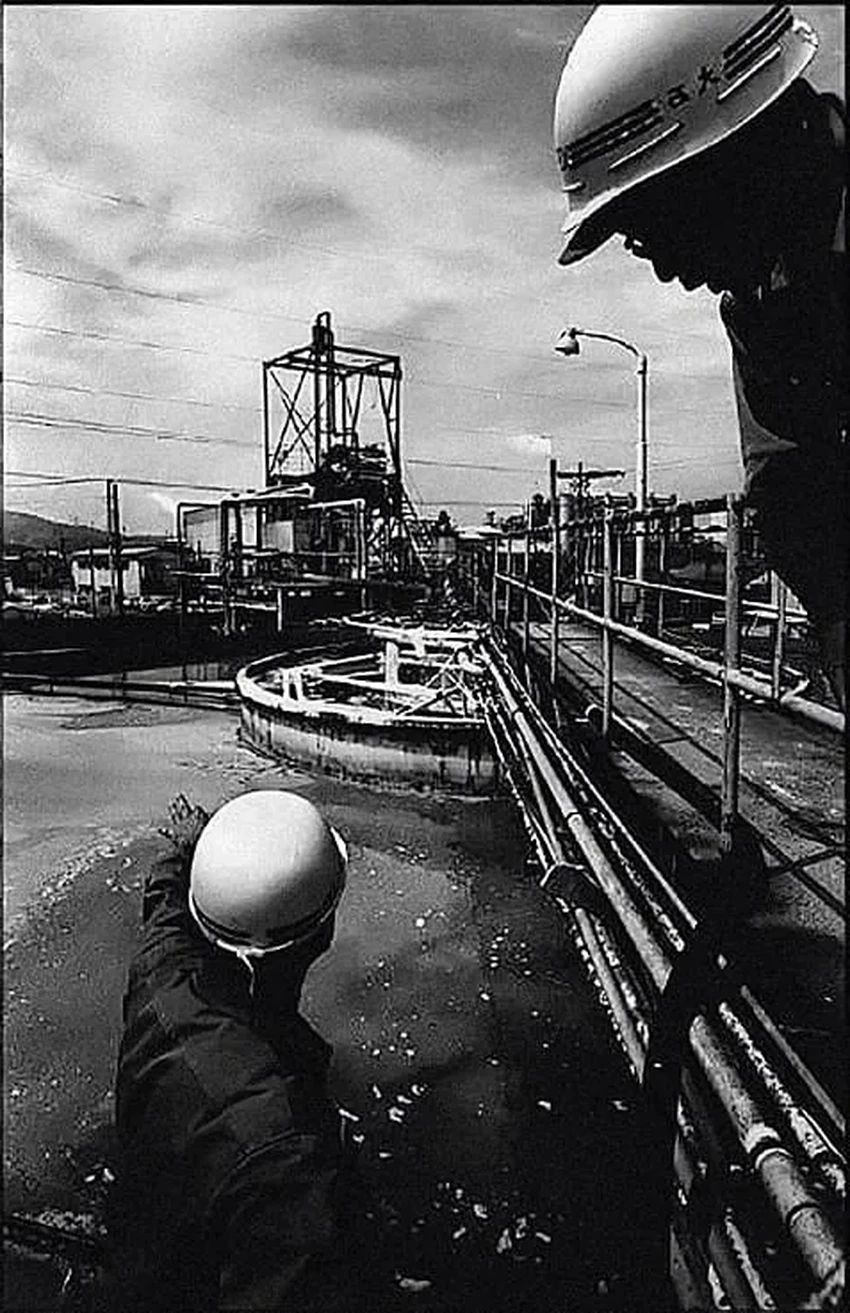 Минамата: как отравление ртутью стало крупнейшей экологической катастрофой Японии