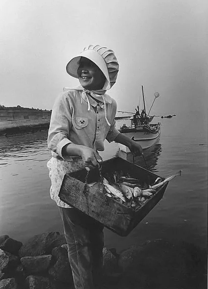 Минамата: как отравление ртутью стало крупнейшей экологической катастрофой Японии