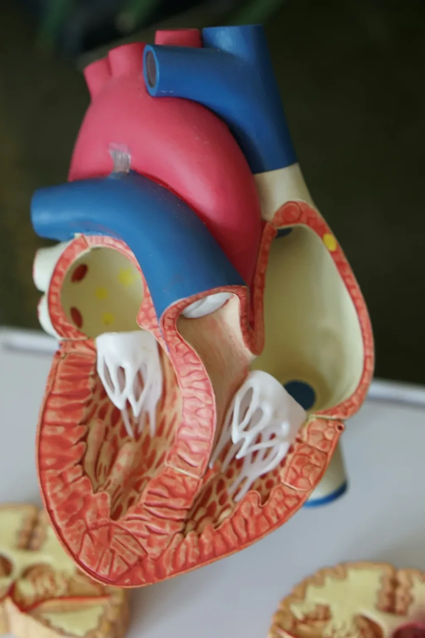 Высокое давление и инсульт: как годы гипертонии влияют на риск