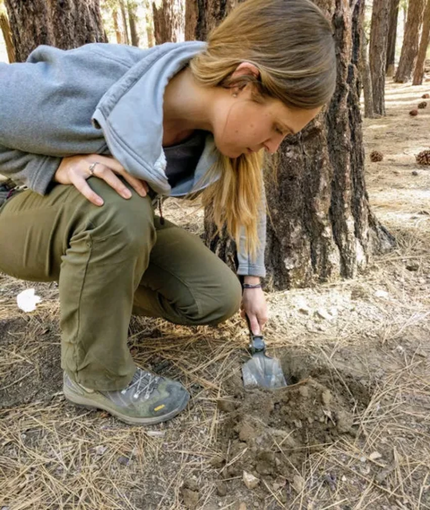 Правила «туалета» в дикой природе: как не привлечь внимание хищников