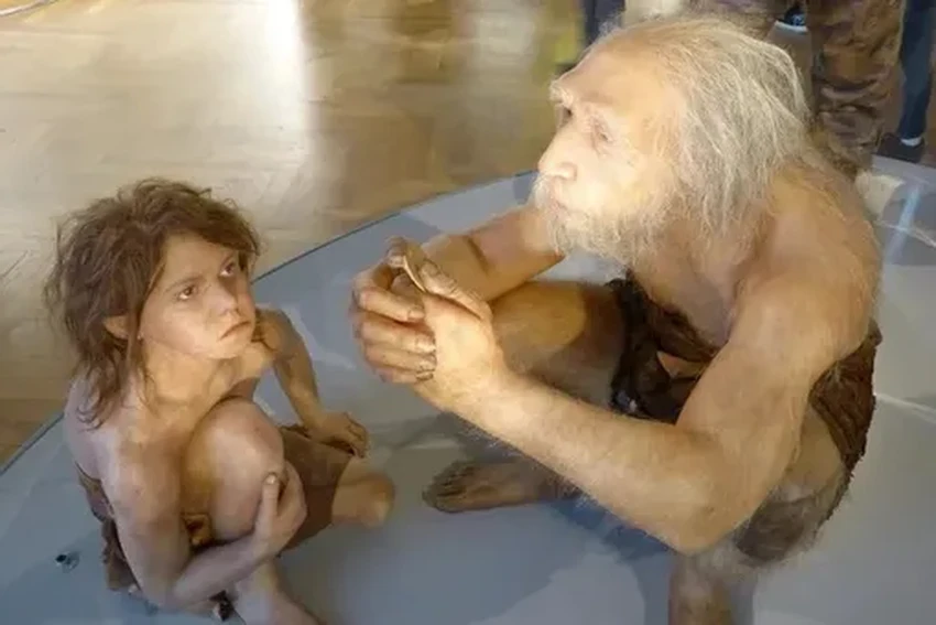 Неандертальцы не вымерли: новая генетическая история их ассимиляции