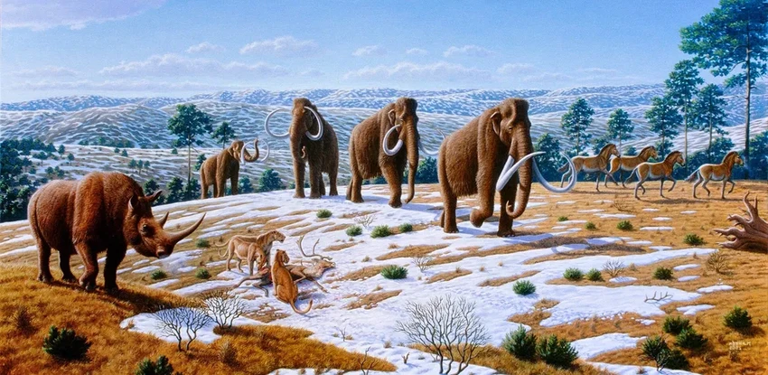 Как млекопитающие завоевали мир после динозавров: 66 млн лет эволюции