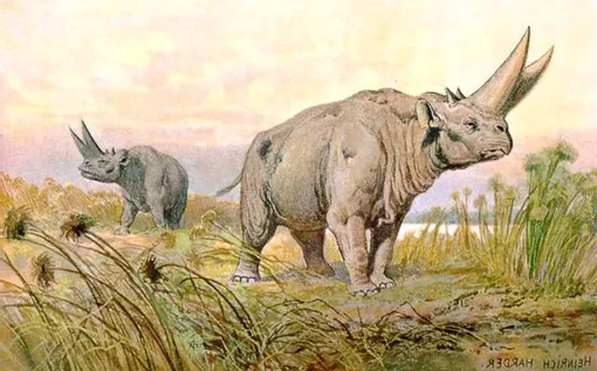 Как млекопитающие завоевали мир после динозавров: 66 млн лет эволюции