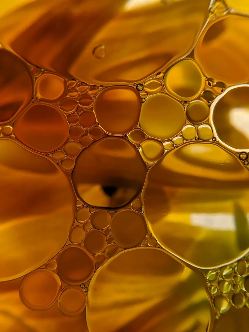 Почему растительные масла полезнее сливочного: новые данные