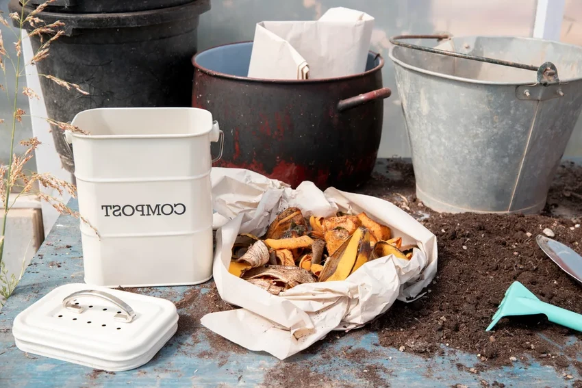 Какие растения на даче под запретом: сорняки и опасные культуры