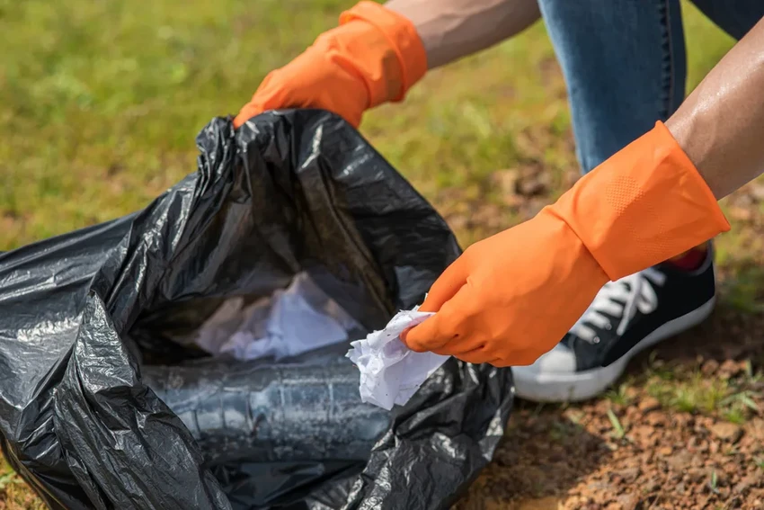 Какие растения на даче под запретом: сорняки и опасные культуры